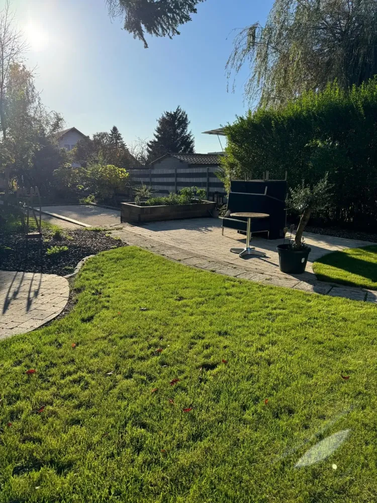 jardin et terrasse dallage