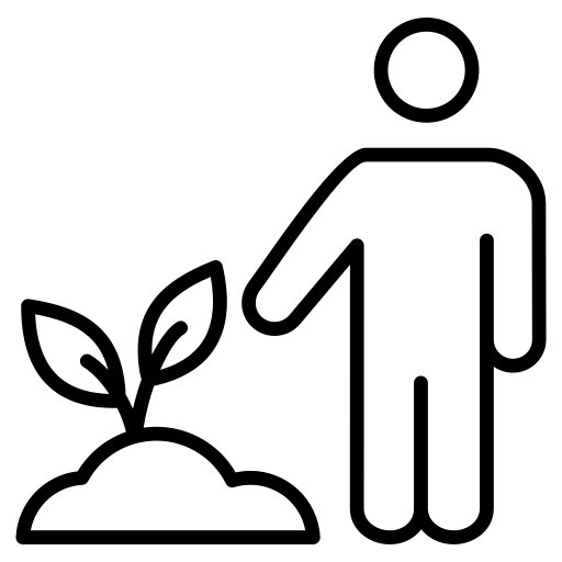 plantation.webp